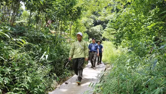 Bảo Nhai làm đường tuần tra rừng kết hợp khai thác du lịch 