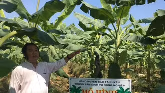 "Quả ngọt" từ ứng dụng khoa học - công nghệ