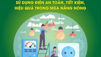 Sử dụng điện hiệu quả, tiết kiệm trong mùa nắng nóng