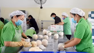 Trường hợp nào bị chấm dứt hưởng trợ cấp thất nghiệp từ 1/1/2026?