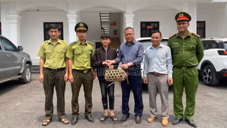 Trung tâm Du lịch và Bảo tồn sinh vật Hoàng Liên tiếp nhận 1 cá thể cu li quý hiếm 