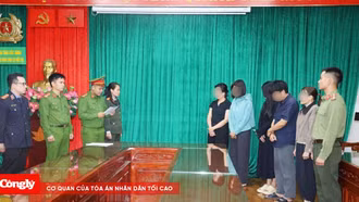 Khởi tố nhóm đối tượng làm giả hồ sơ để trục lợi chính sách nhà ở xã hội