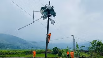 Lào Cai: Khuyến cáo người dân về bảo vệ hành lang an toàn lưới điện