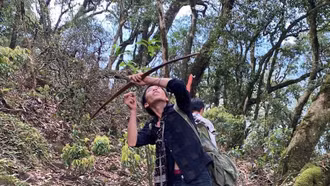 Sớm hoàn thiện pháp luật về bảo vệ động vật hoang dã