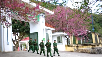 Giữ mãi màu xanh biên cương