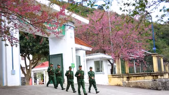 Giữ mãi màu xanh biên cương