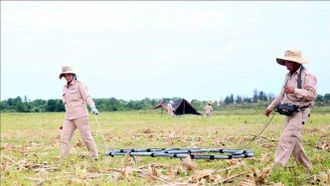 Bỉ hỗ trợ Việt Nam khắc phục hậu quả chất độc da cam