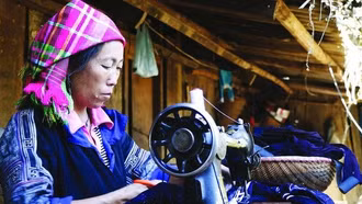 Nâng cao kỹ năng số cho cán bộ, người dân qua phong trào 'Bình dân học vụ số'