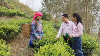 Xã Mường Khương triển khai hiệu quả Chương trình mục tiêu quốc gia giảm nghèo bền vững