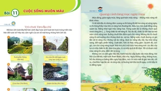 Xóa bỏ độc quyền, đa dạng sách giáo khoa tạo nhiều thuận lợi cho giáo viên và học sinh