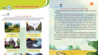 Xóa bỏ độc quyền, đa dạng sách giáo khoa tạo nhiều thuận lợi cho giáo viên và học sinh