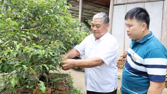 Giáo dân Bảo Yên sống tốt đời đẹp đạo