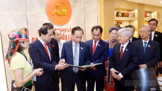 Đối ngoại, hợp tác quốc tế - thêm động lực phát triển