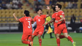 Việt Nam lên ngôi vô địch ASEAN Cup 2024 sau trận chung kết nghẹt thở