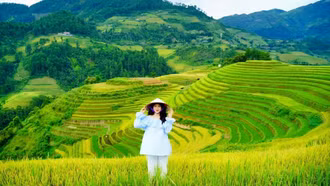 24 giờ ở Mù Cang Chải, chọn điểm nào để ngắm trọn mùa vàng?