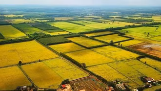 Đề xuất quy định hướng dẫn việc kéo dài thời hạn miễn thuế sử dụng đất nông nghiệp