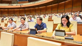 Quốc hội chốt áp thuế tiêu thụ đặc biệt với nước giải khát có đường, xăng các loại