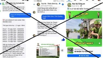 Mất 2,7 tỷ đồng vì đăng ký sinh hoạt hè cho con qua mạng