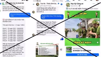 Mất 2,7 tỷ đồng vì đăng ký sinh hoạt hè cho con qua mạng