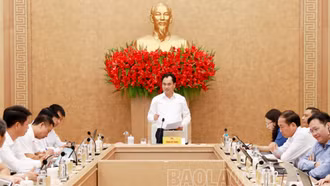 Ban Thường vụ Tỉnh ủy xem xét phương án phòng chống ngập, úng khu vực trung tâm tỉnh 