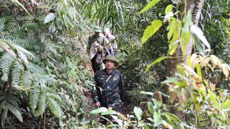 Tăng cường quản lý, bảo vệ và phòng cháy, chữa cháy rừng