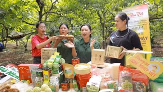 Truy xuất nguồn gốc: Động lực để 'xanh hóa' thương mại điện tử