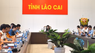 Sơ kết 5 năm thực hiện Chương trình phát triển y dược cổ truyền, kết hợp y dược cổ truyền với y học hiện đại