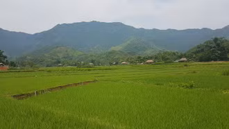 Phát triển du lịch xanh, du lịch cộng đồng: Hướng đi bền vững cho vùng cao, biên giới