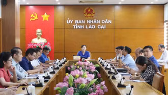 Phiên họp thứ năm Tổ công tác cải cách thủ tục hành chính