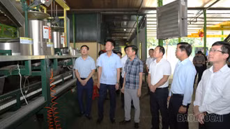 Phó Bí thư Tỉnh ủy Nguyễn Thế Phước khảo sát các mô hình sản xuất, kinh doanh tại xã Xuân Quang, Phong Hải