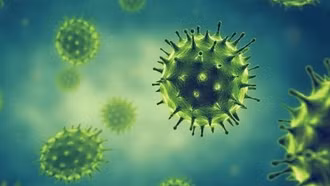 Năm 2025 chưa ghi nhận virus cúm thay đổi độc lực