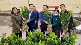 Hỗ trợ giống, phân bón mở rộng diện tích cam tại xã Phúc Khánh