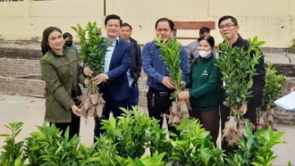 Hỗ trợ giống, phân bón mở rộng diện tích cam tại xã Phúc Khánh