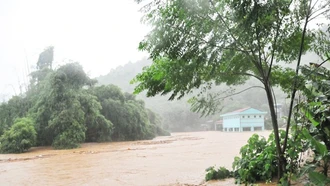 Chủ động ứng phó với siêu bão Ragasa