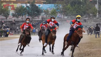 Đến Bắc Hà nghe chuyện vó ngựa trên cao nguyên trắng