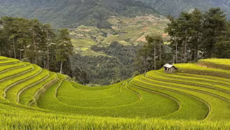 Liên kết để du lịch Tây Bắc vươn xa