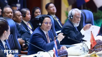 'Việt Nam là đối tác quan trọng trong việc định hình vai trò toàn cầu của ASEAN'