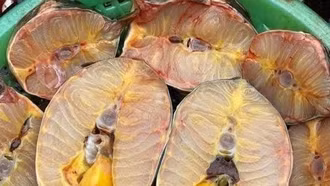 Cẩn trọng với cá tầm được rao bán siêu rẻ trên mạng xã hội