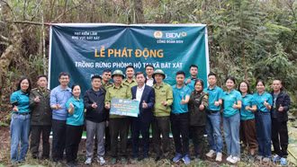 Công đoàn cơ sở BIDV Lào Cai hỗ trợ hơn 270 triệu đồng trồng rừng phòng hộ tại Bát Xát 