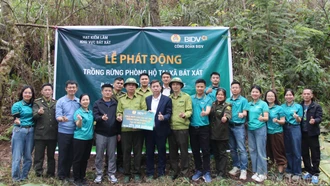 Công đoàn cơ sở BIDV Lào Cai hỗ trợ hơn 270 triệu đồng trồng rừng phòng hộ tại Bát Xát 