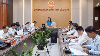 UBND tỉnh họp rà soát tiến độ triển khai tổ chức các hoạt động kỷ niệm Quốc khánh 