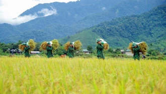 Các tổ chức quần chúng BĐBP góp sức giảm nghèo bền vững nơi biên giới, hải đảo