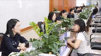 Lào Cai thu ngân sách nhà nước vượt 11% dự toán Trung ương giao