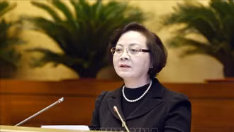 Bộ trưởng Bộ Nội vụ Phạm Thị Thanh Trà: Chưa sáp nhập tỉnh, thành phố ngay