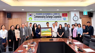 Phó Chủ tịch UBND tỉnh Vũ Thị Hiền Hạnh thăm và làm việc tại Hàn Quốc