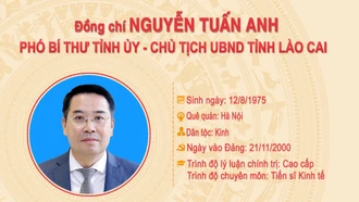 [Infographic] Tóm tắt quá trình công tác của đồng chí Nguyễn Tuấn Anh - Phó Bí thư Tỉnh ủy, Chủ tịch UBND tỉnh Lào Cai
