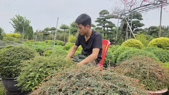 Nông dân cùng giúp nhau thoát nghèo