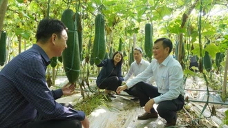 Động lực cho đổi mới sáng tạo