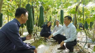 Động lực cho đổi mới sáng tạo