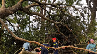 Chủ tịch UBND tỉnh chỉ đạo khẩn trương khắc phục hậu quả thiệt hại do mưa kèm theo dông lốc